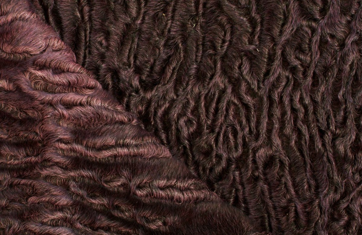 Мех Афганский каракуль