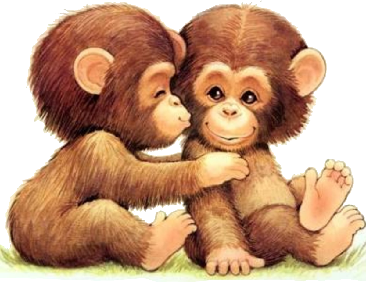 Две обезьянки