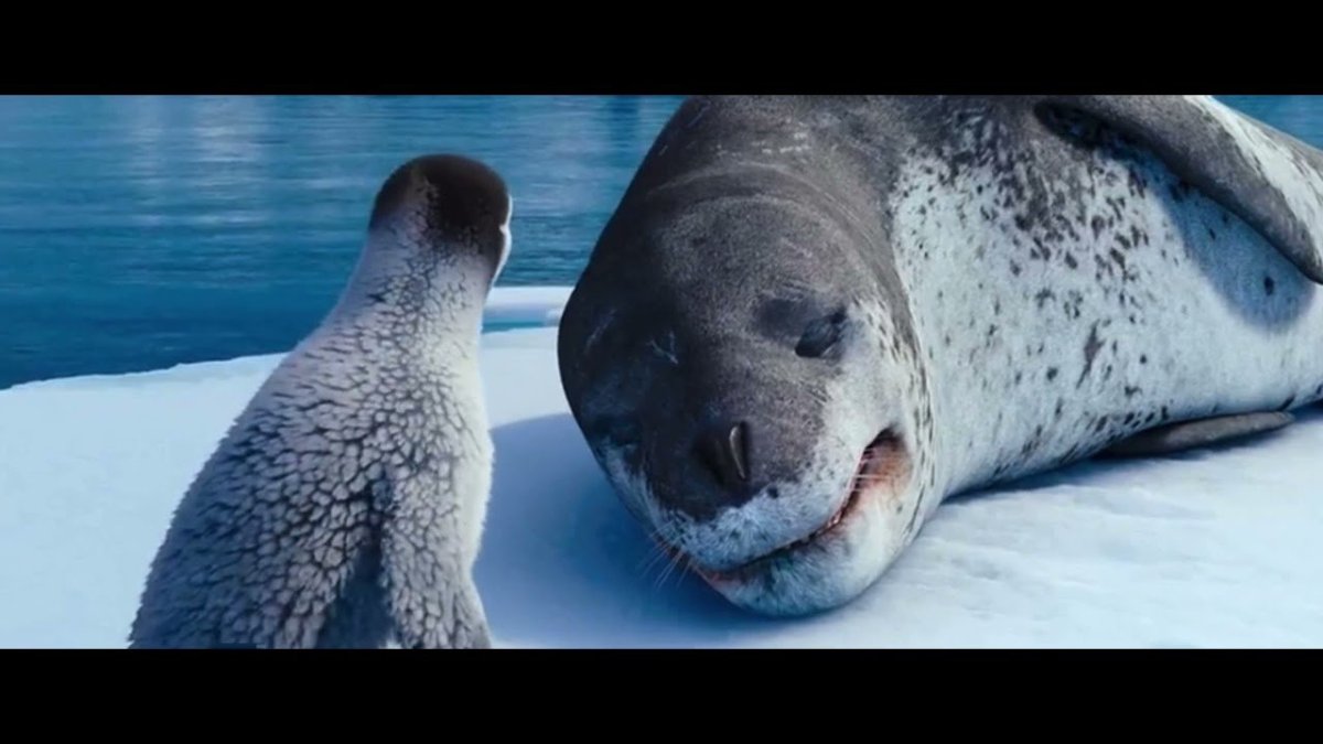 Касатка vs морской леопард