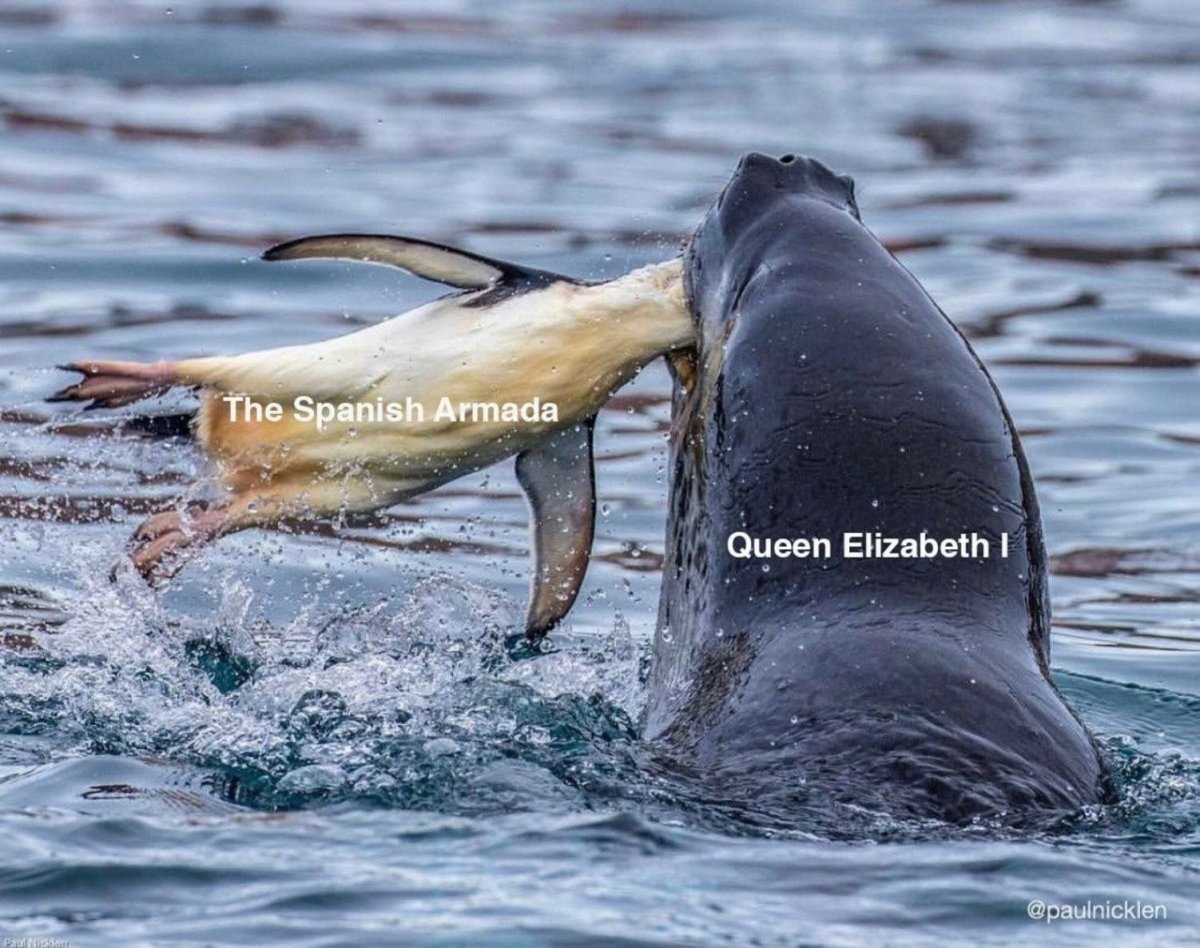 Морской леопард и Касатка