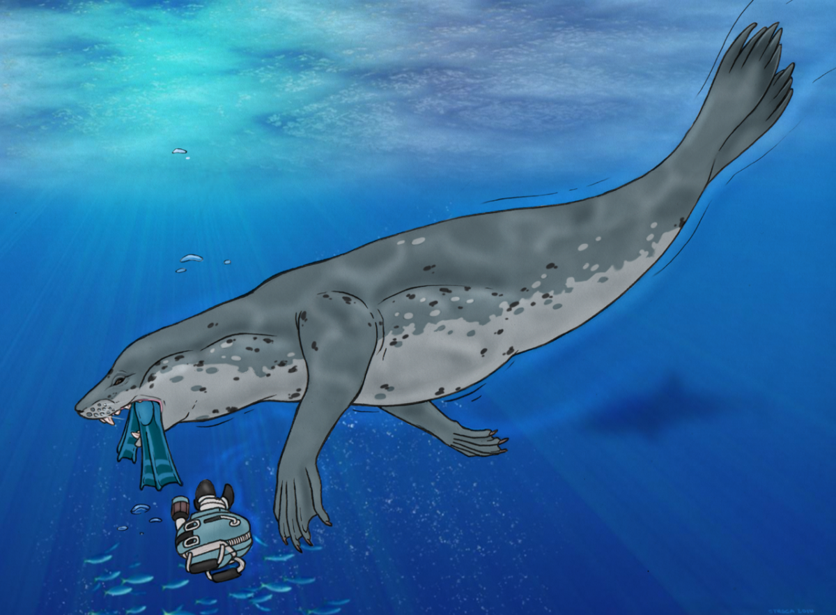 Кирсти Браун морской леопард