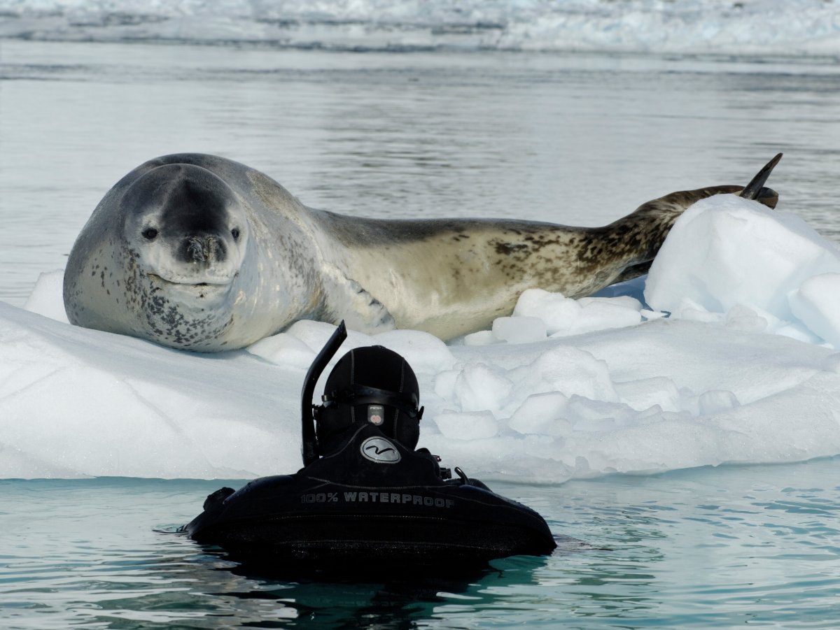 Пауль Никлен фотограф