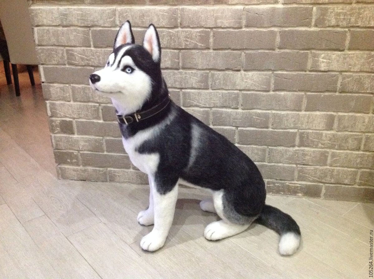 ЛИВЛИГ Сибирский хаски