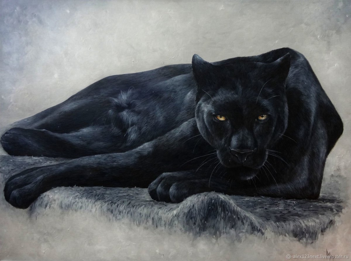 Черная пантера арт