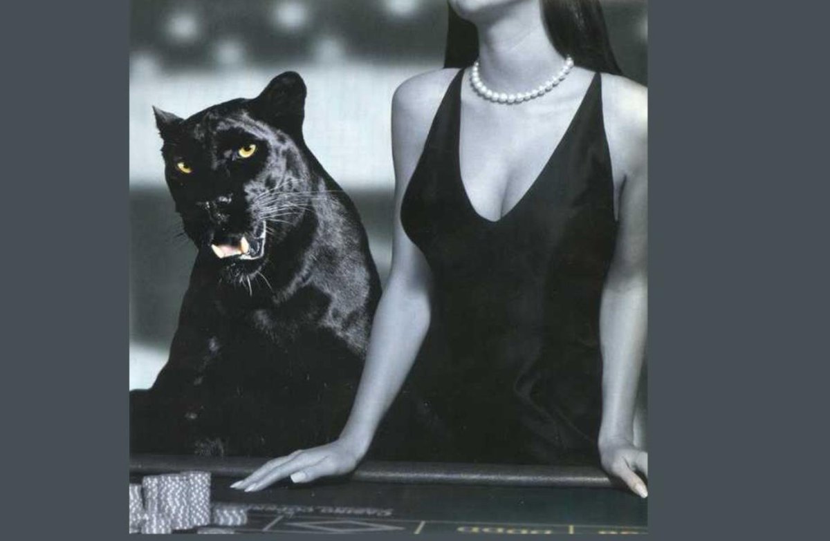 Девушка пантера