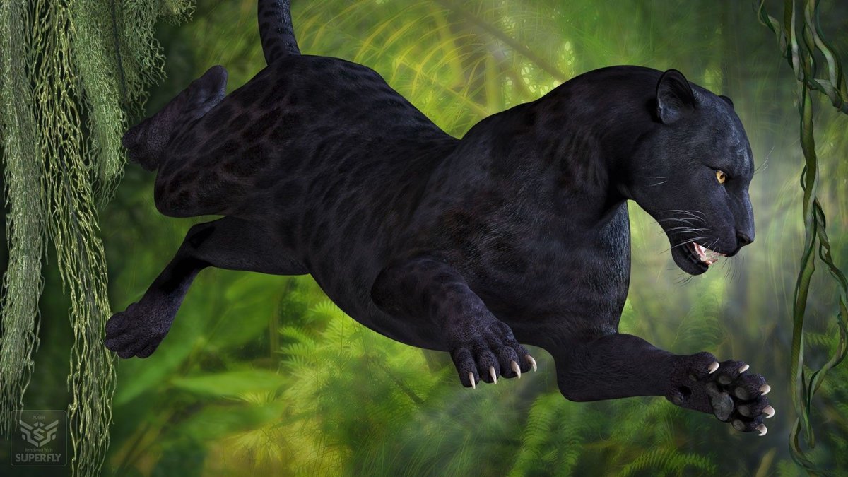 Кореллианская Песчаная пантера