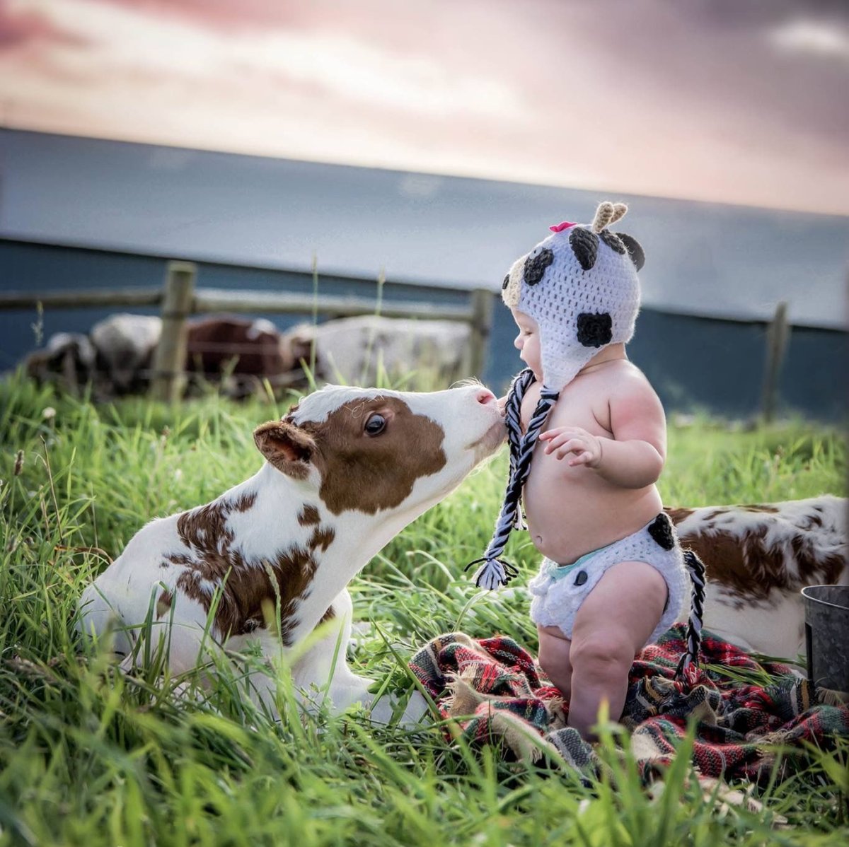 Корова для детей