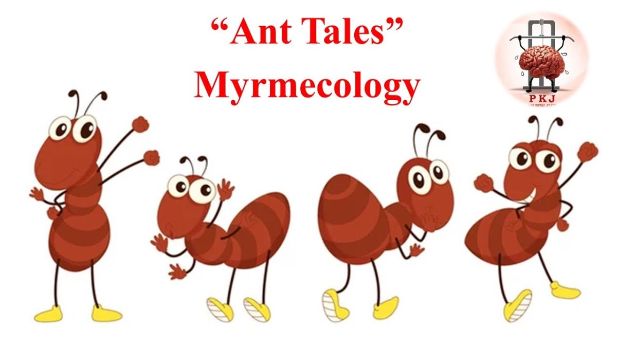 Муравей сидит иллюстрация