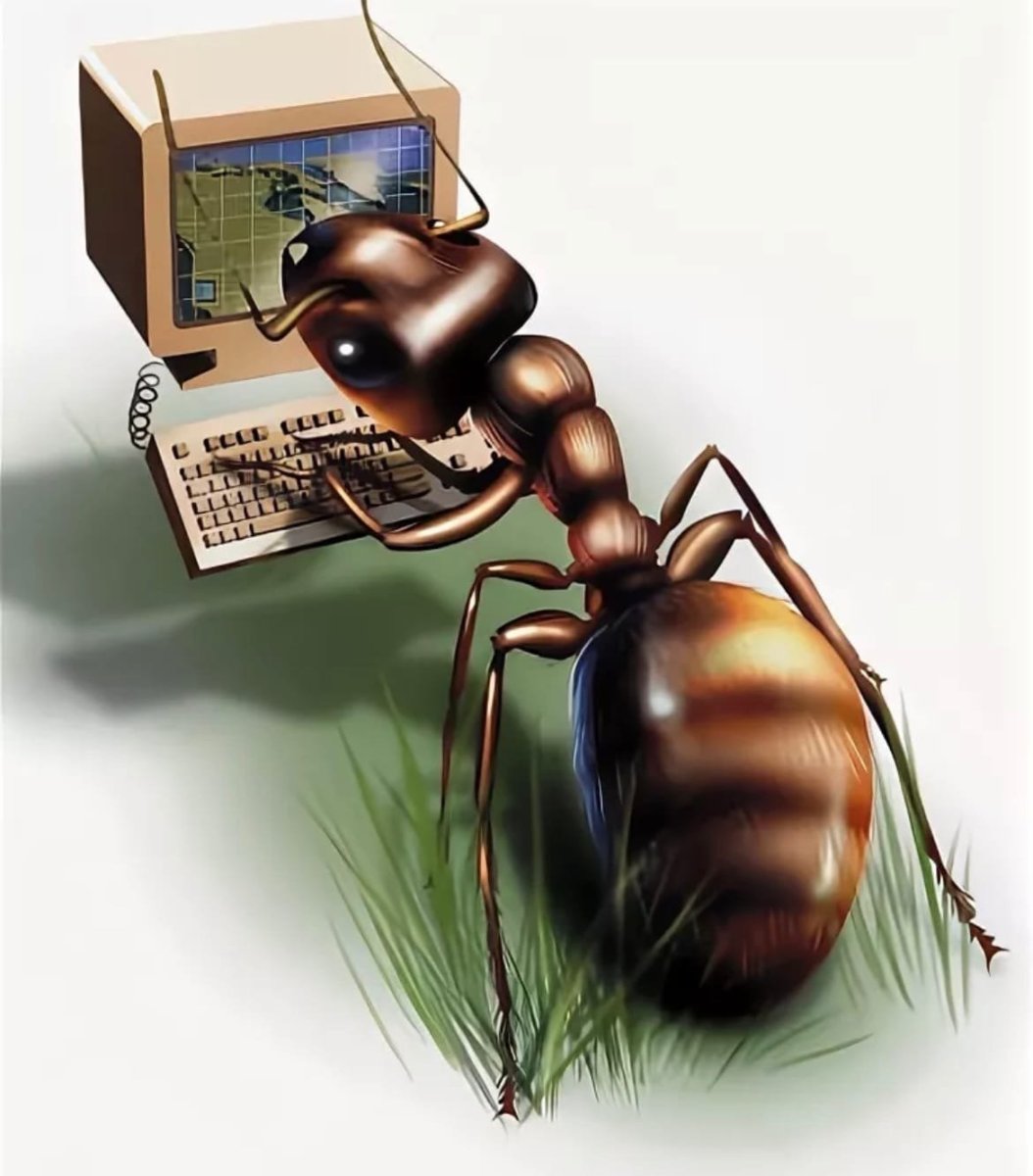 Муравей трудяга