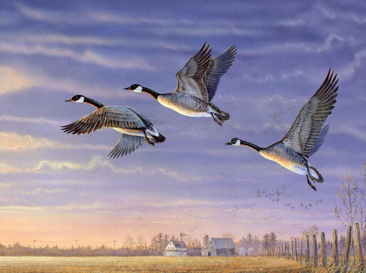 Пейзаж с журавлями