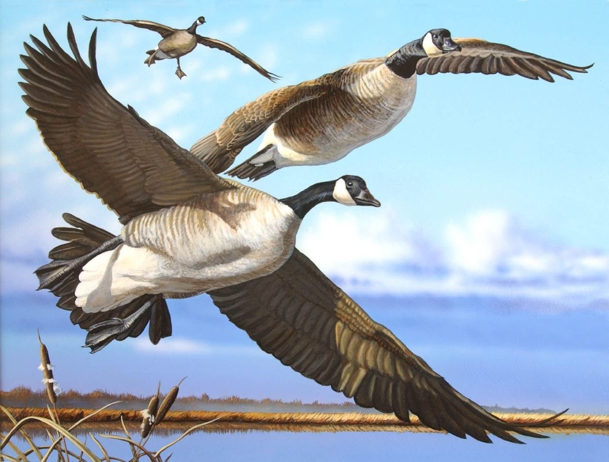 Картина гуси летят