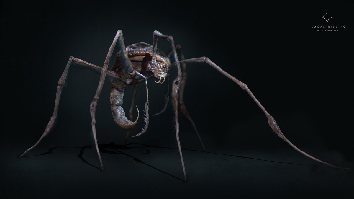 Паукообразные пришельцы