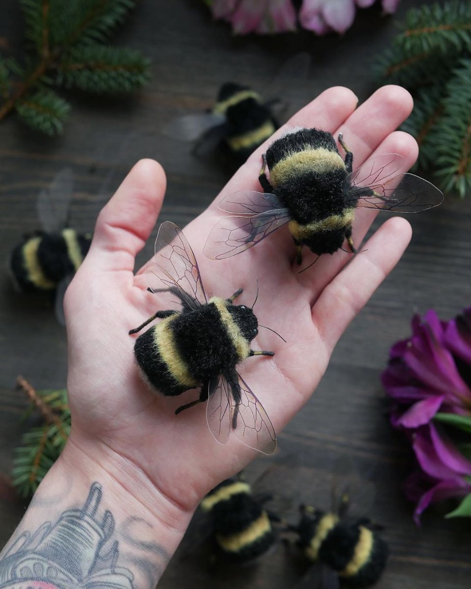 Шмель беложопик