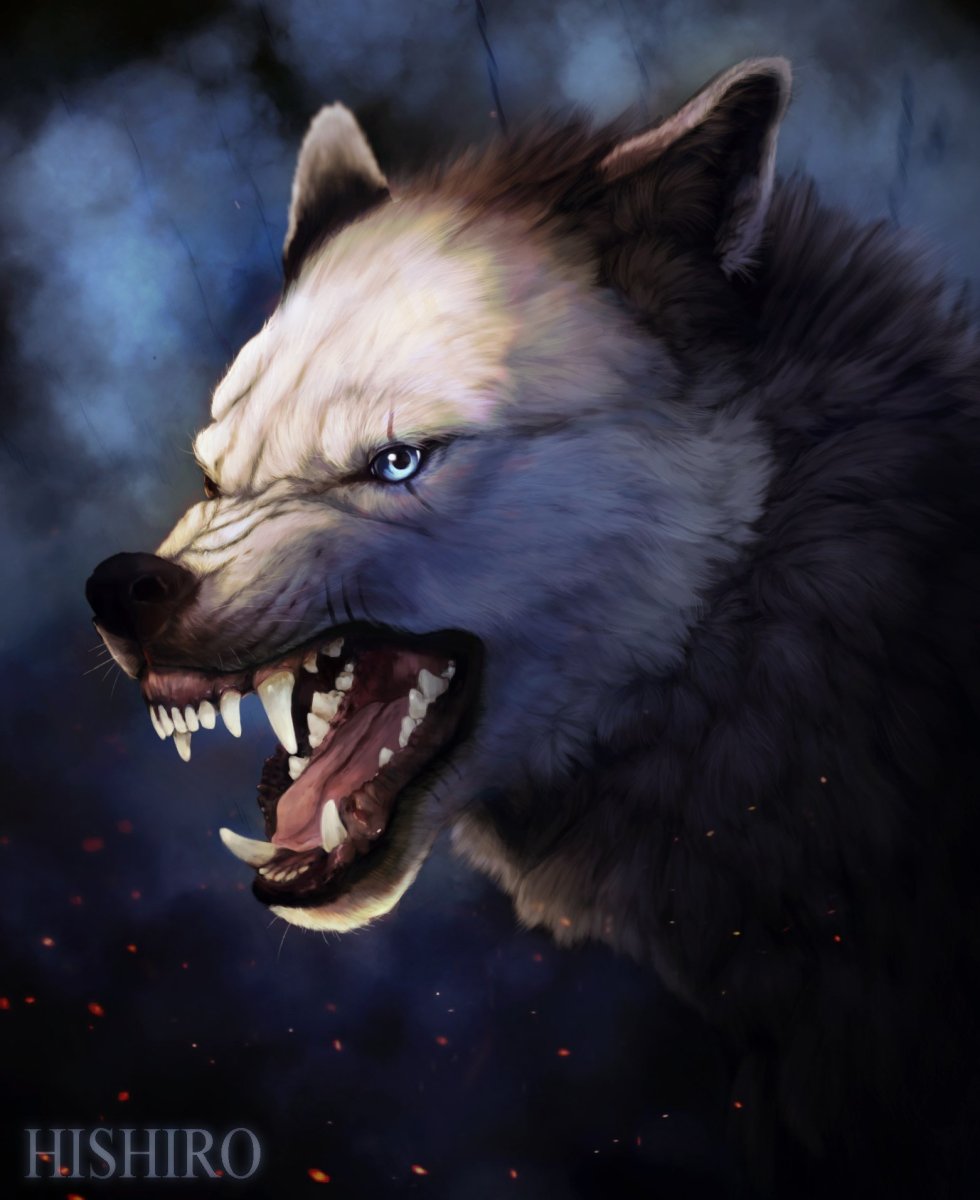 Картинки на рабочий стол волки