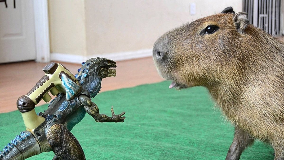 Капибара Джоджо