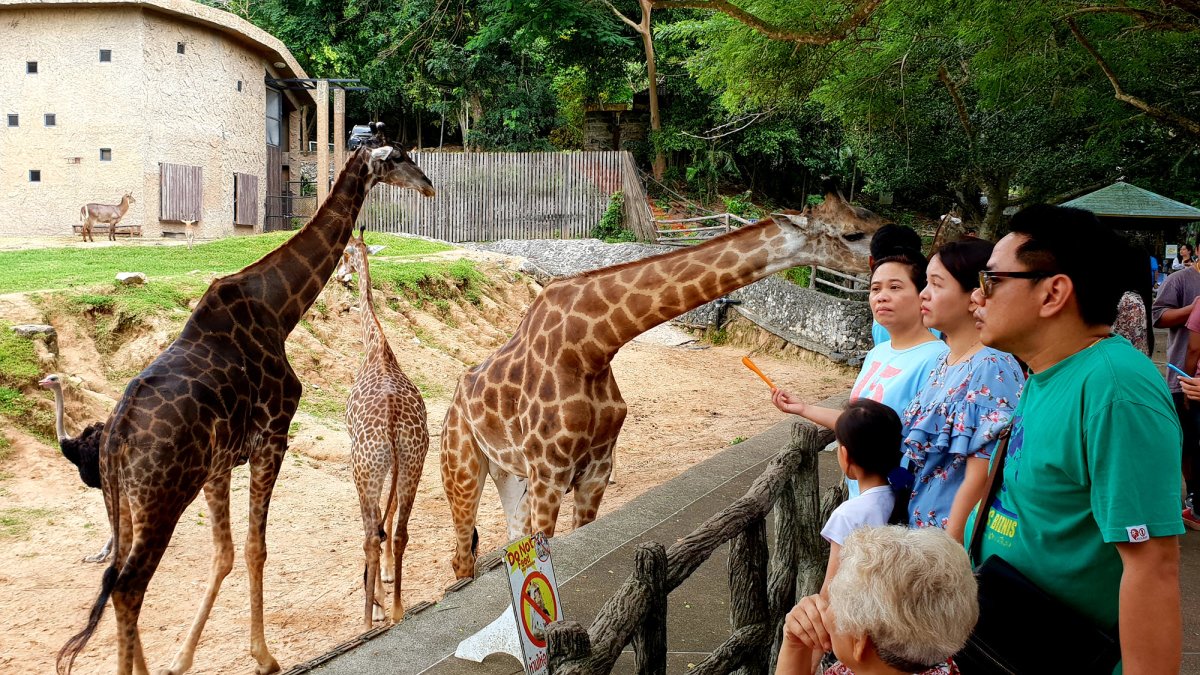 Зоопарк Таиланд Кхао Кхео