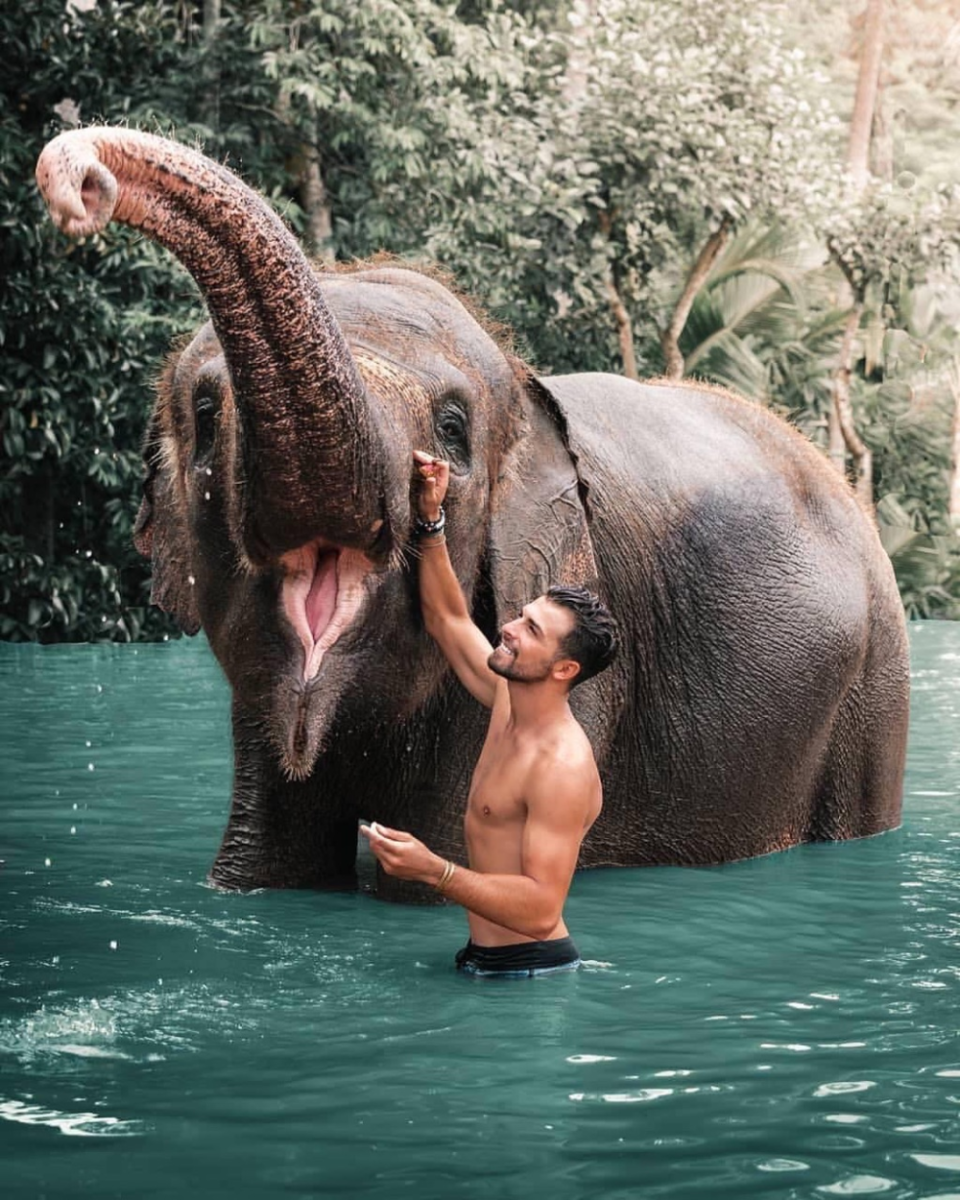 Тайланд животный мир