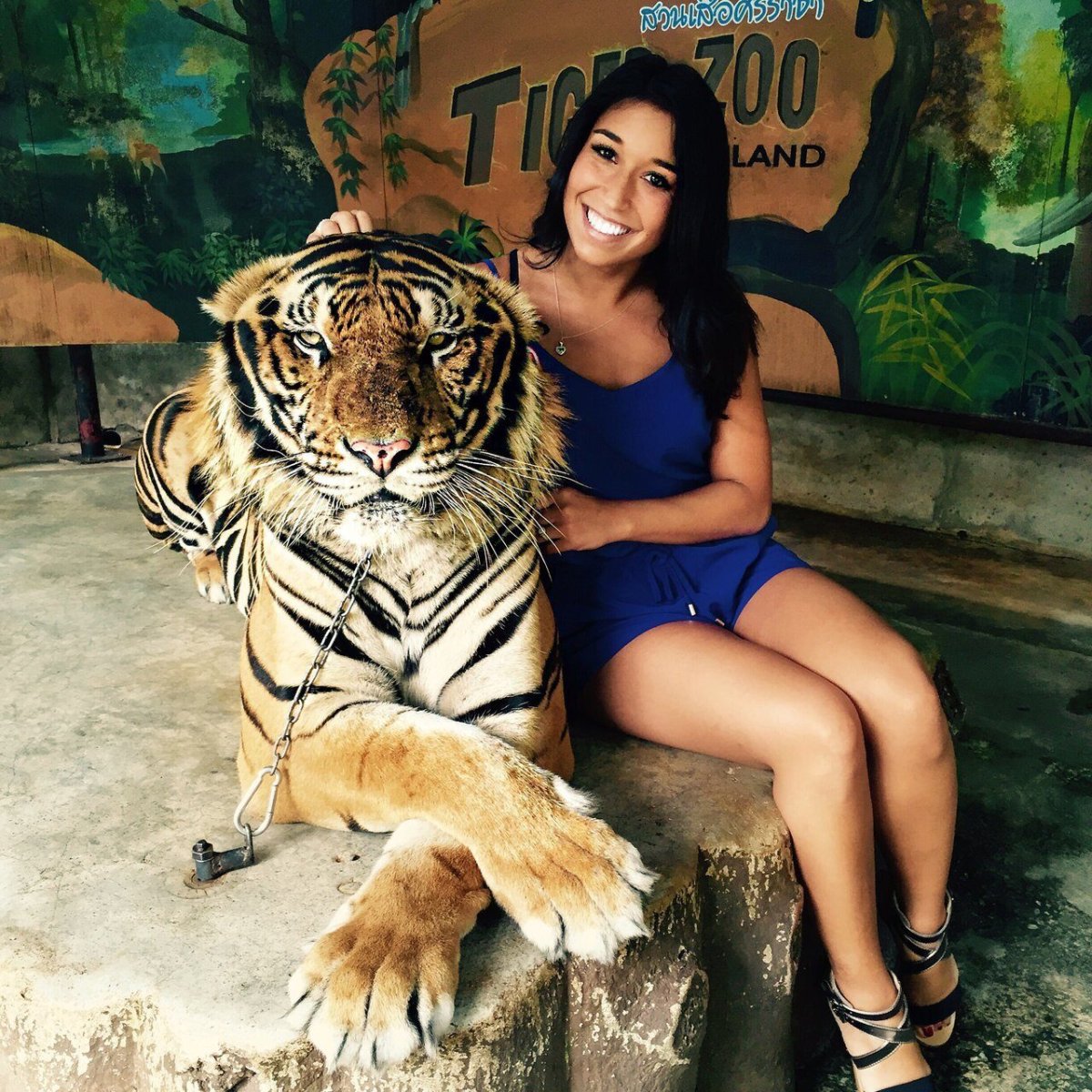 Сфотографироваться с тигром