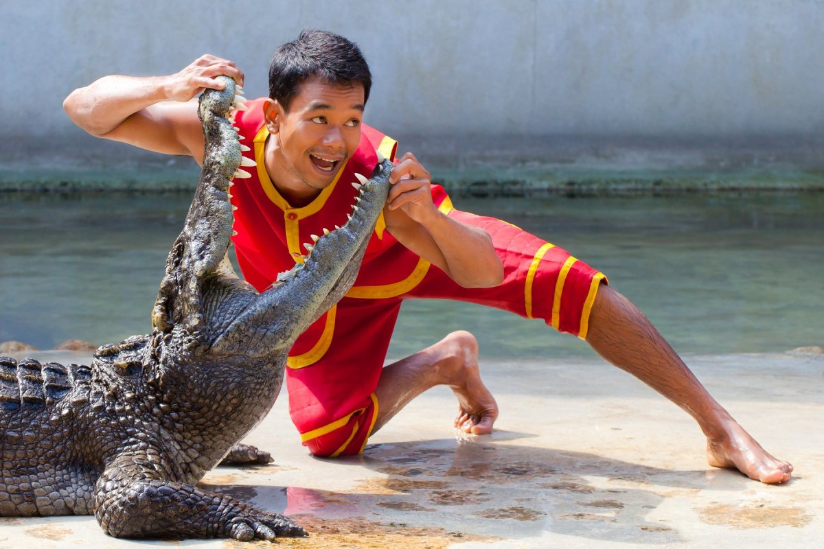 Ферма крокодилов в Тайланде