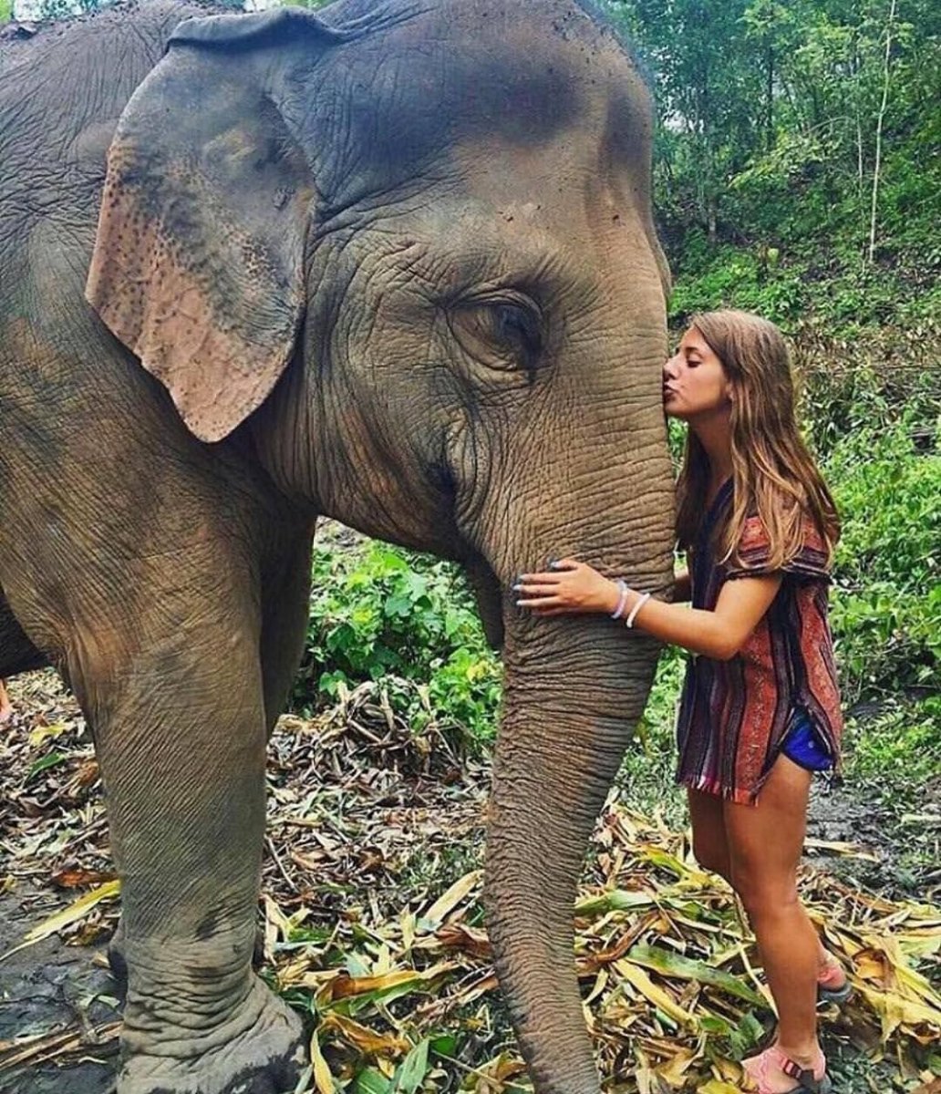Девушка на слоне