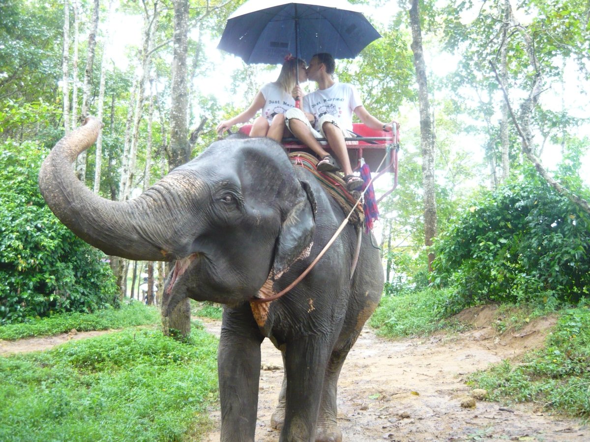 Путешествие на слоне