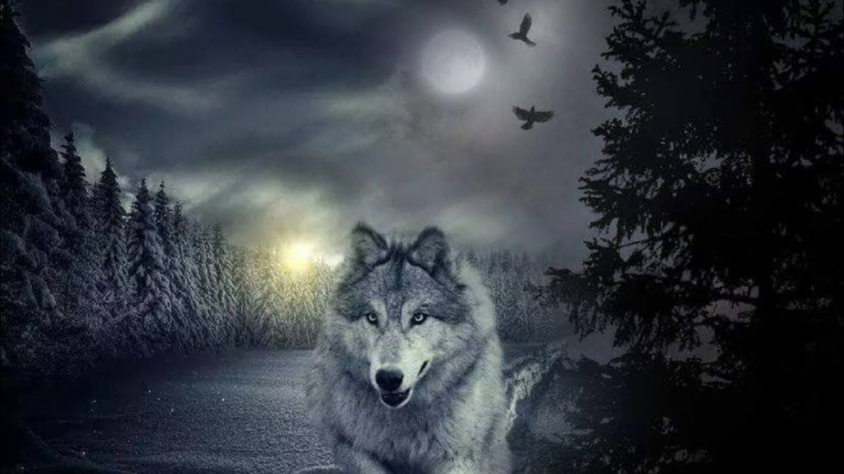 Волк с надписью