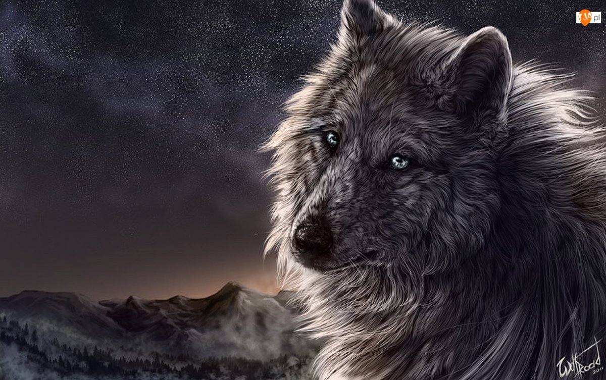 Фото волки удар в спину