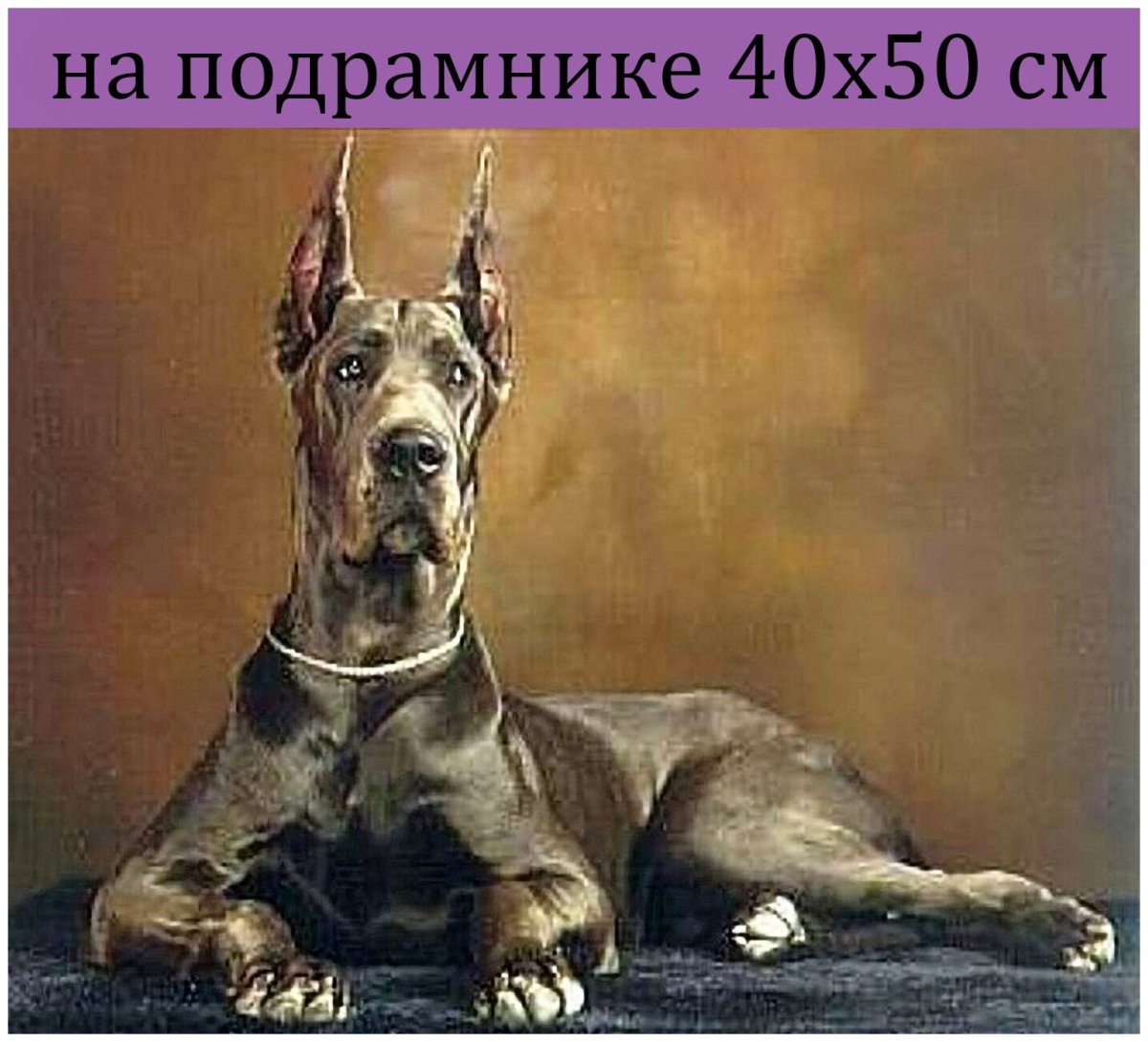 Датский дог Пресли