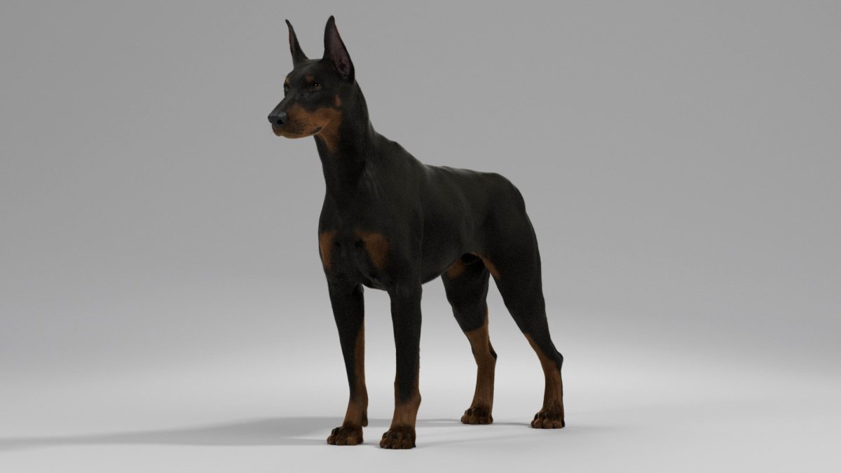 Брейер собаки Доберман