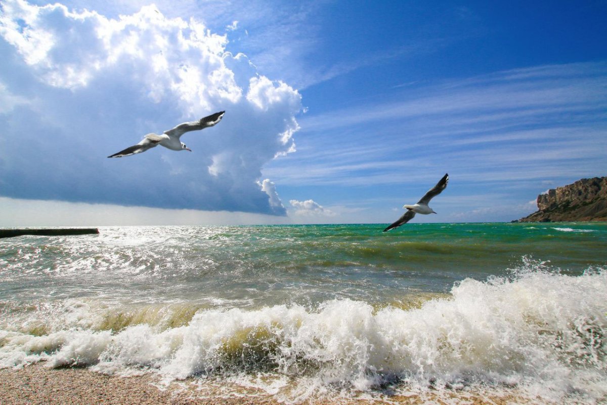 Лучшее море и воздух в Крыму