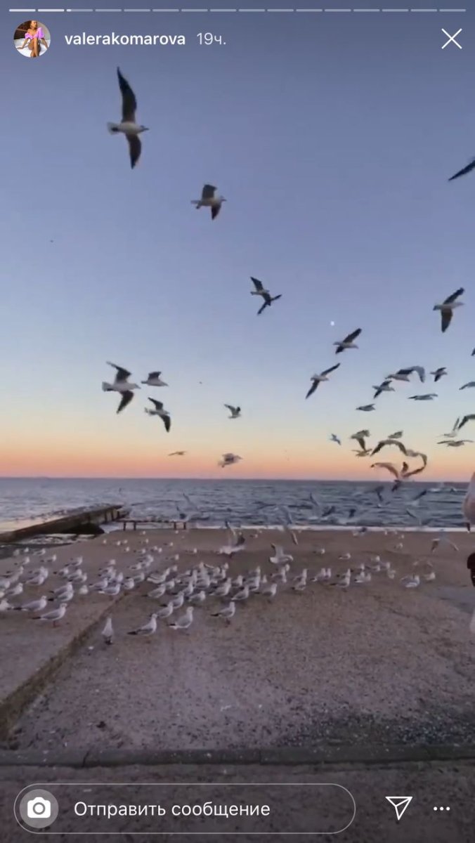 Чайки Инстаграм