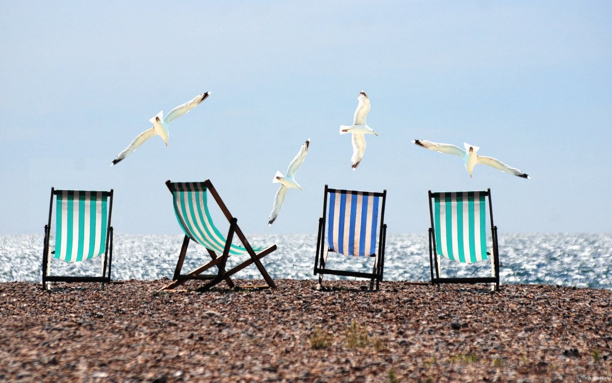 Солнце море Чайки пляж