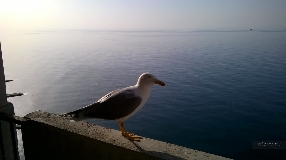 Легенда " девушка - Чайка" в Крыму