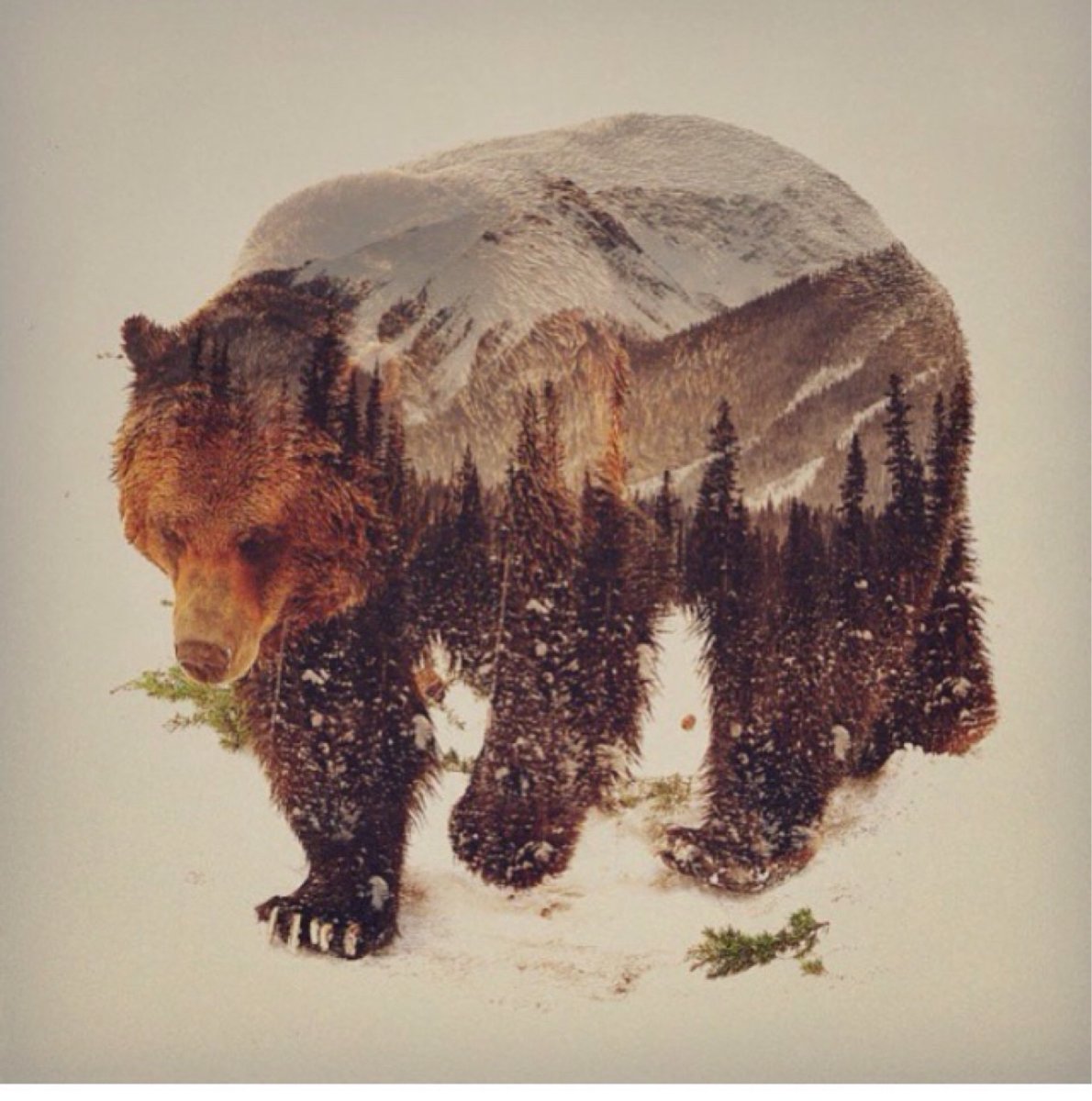 Медведь с лесом внутри