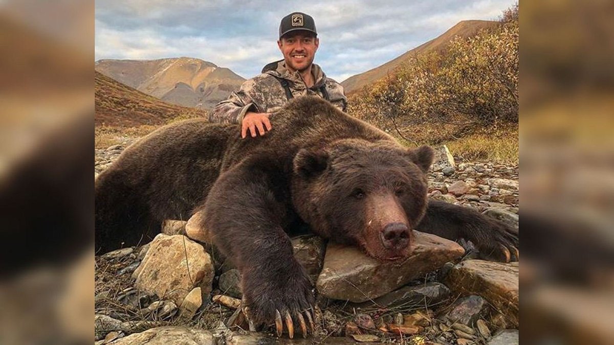 Канадский медведь Гризли