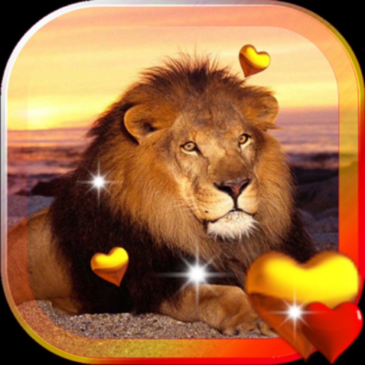 Доброе утро Львенок