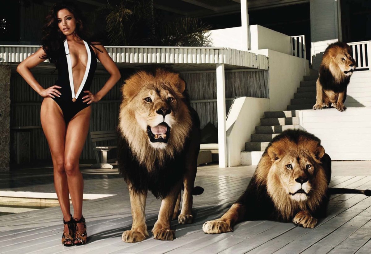 Красивая девушка со львом