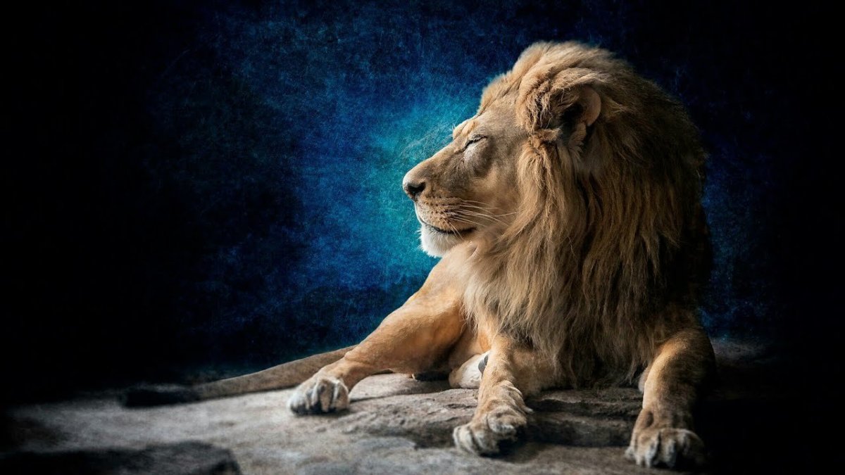 Лев нереальный