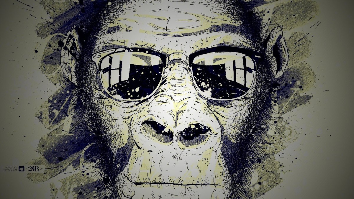 Крутая обезьяна