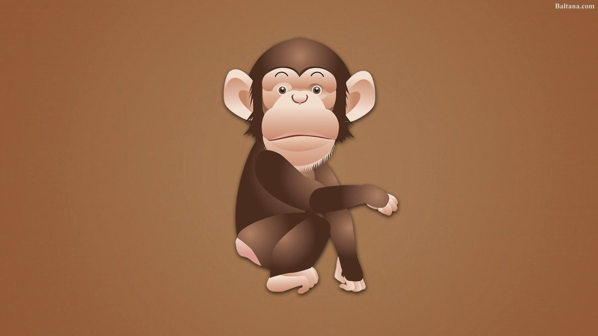 Обезьяна Минимализм