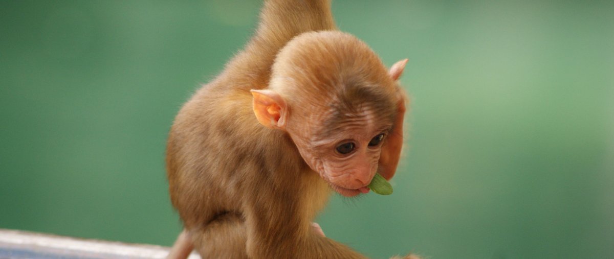 Красивые картинки на рабочий стол прикольные