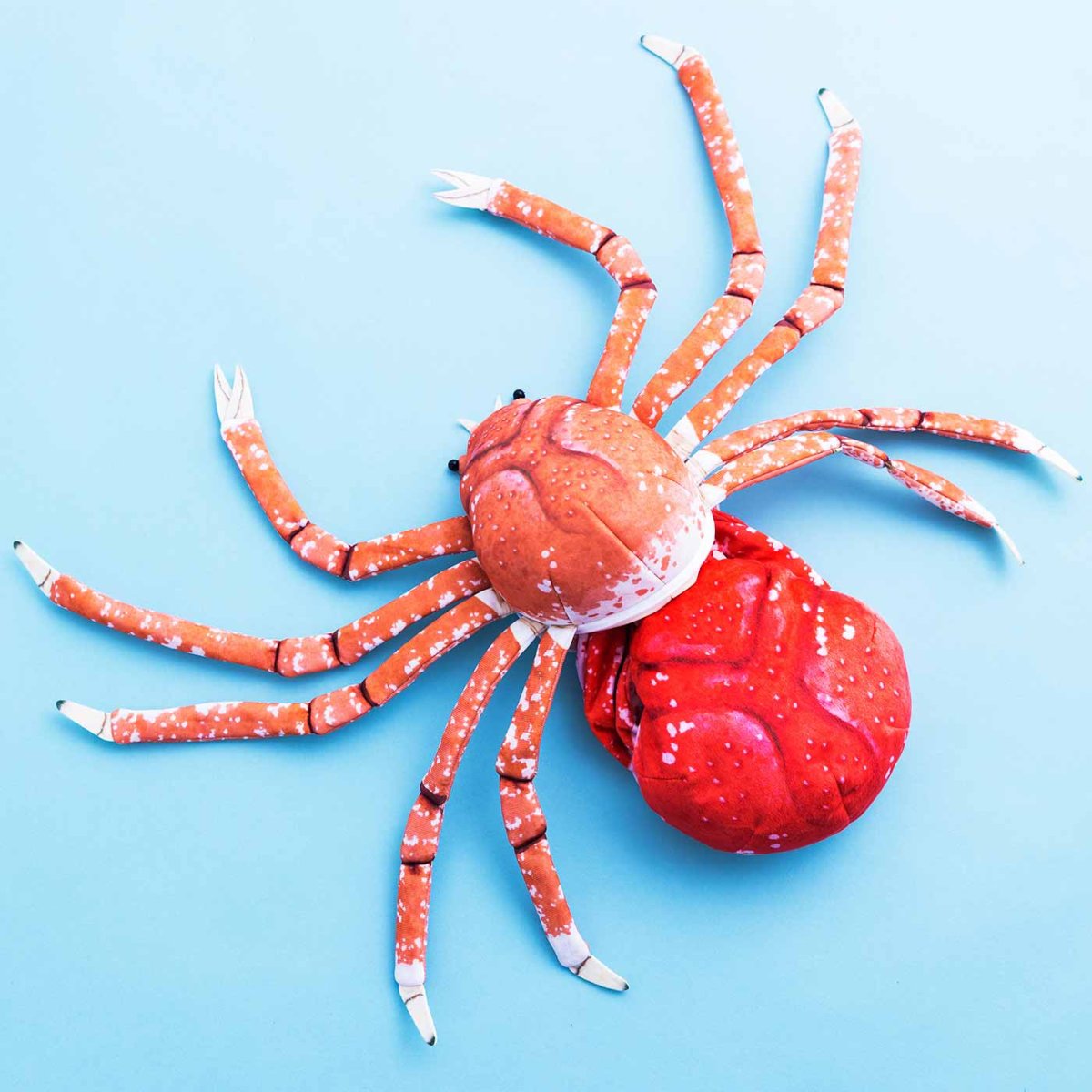 Крабовый паук