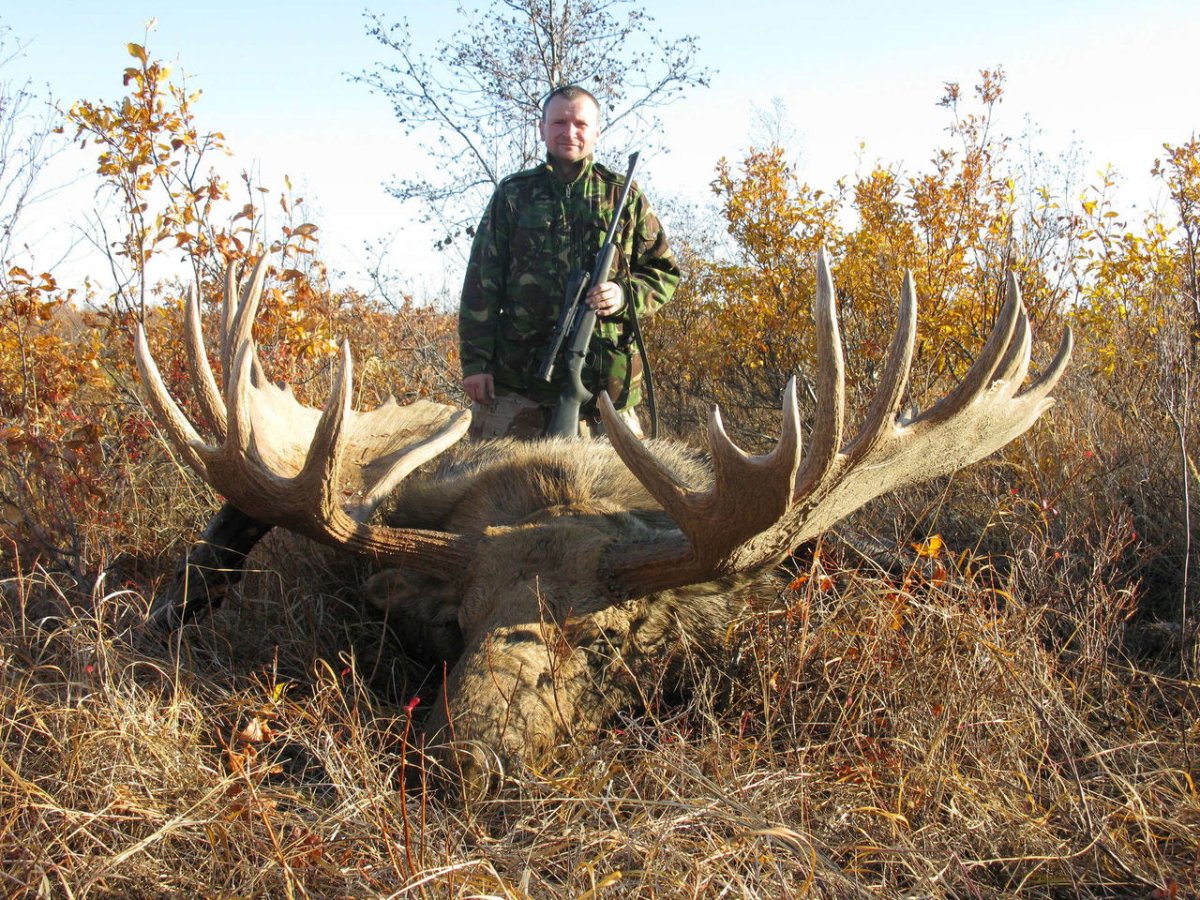 Сибирский Колымский Лось