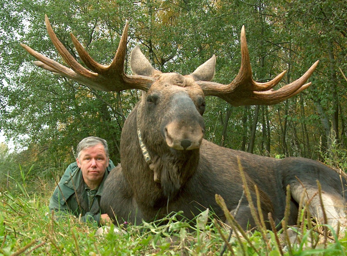 Сумароковская лосеферма