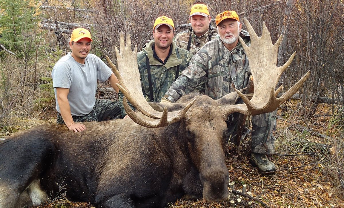 Австралийская компания Moose