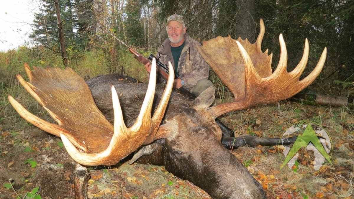 Аляскинский Лось и человек