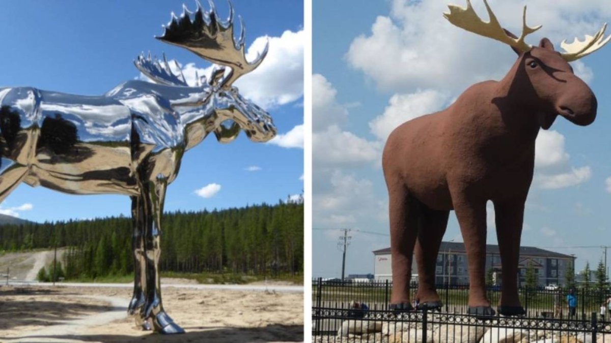 Символ Швеции Лось