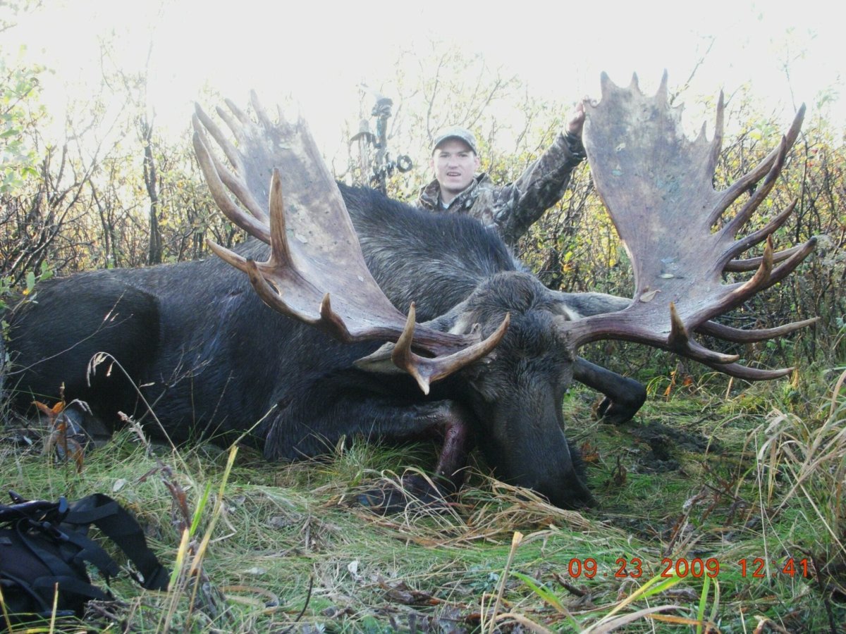 Самый большой Лось вес