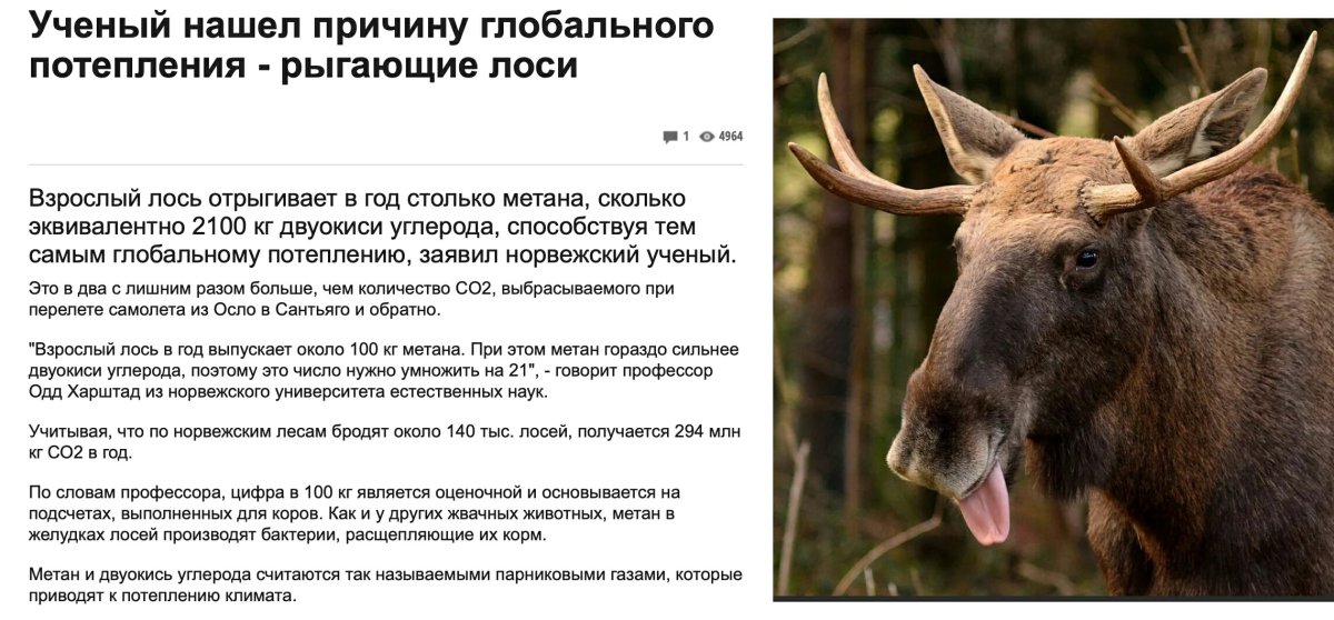 Факты о лосях для детей