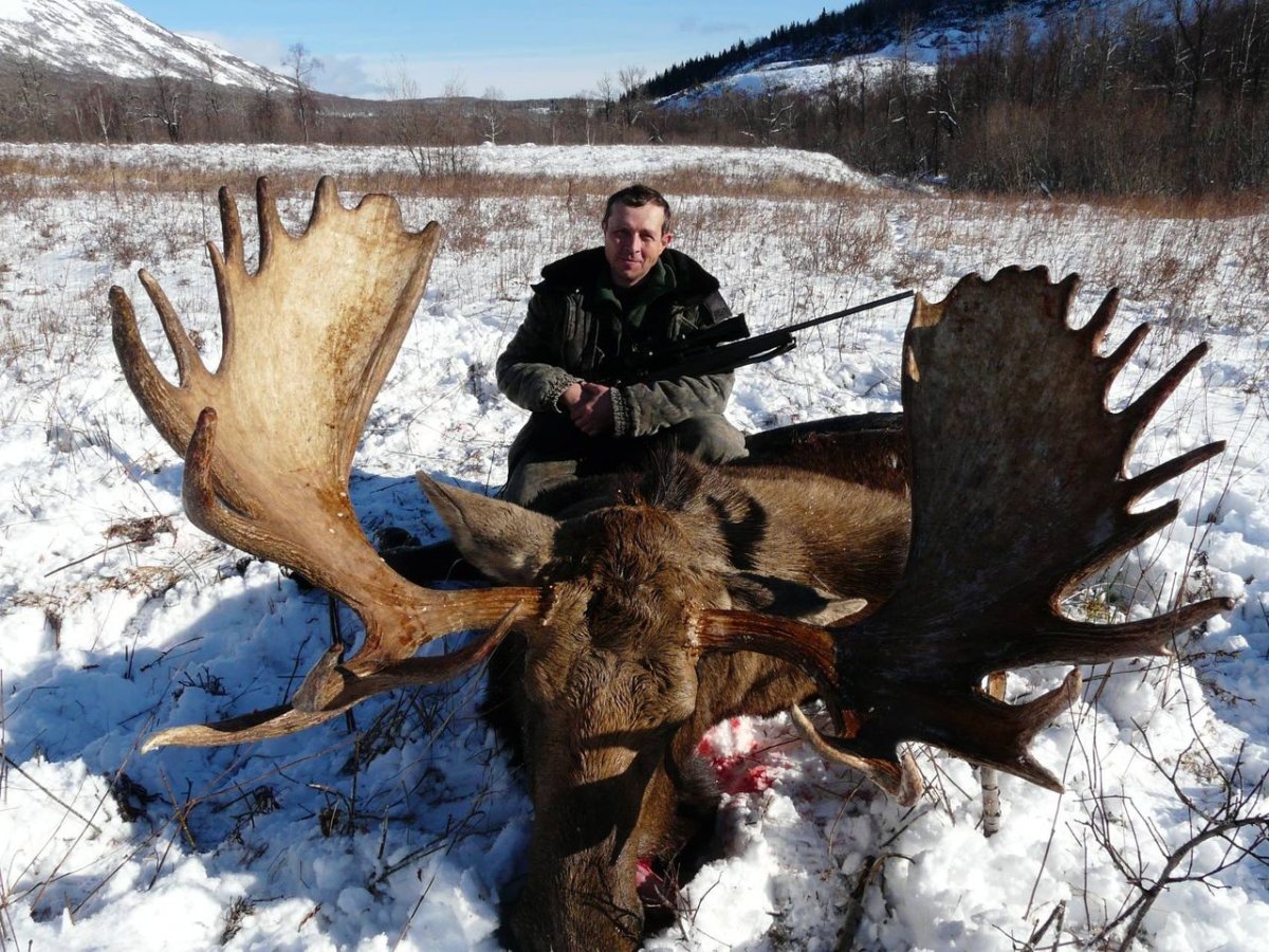 Европейский Лось охота